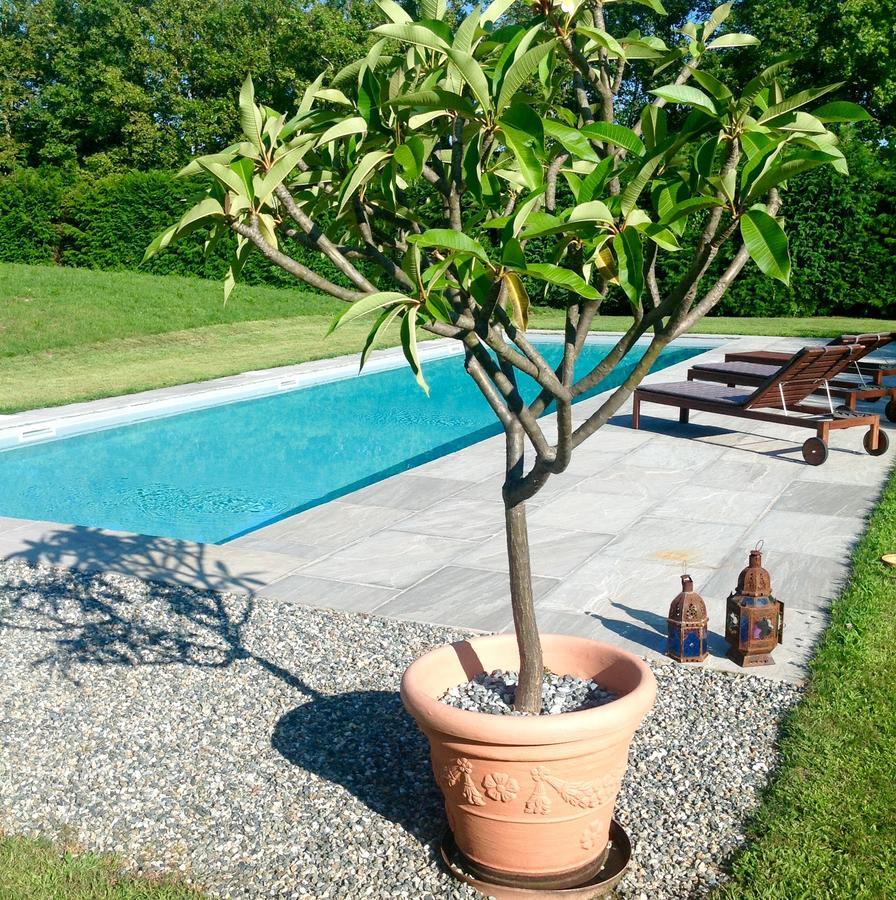 Bed and Breakfast Alla Gazza Ladra Prato Sesia Pokój zdjęcie